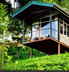 Tea villas ella